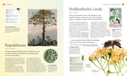 Innenansicht 7 zum Buch Bäume - Eine Natur- und Kulturgeschichte