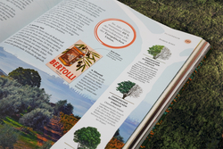 Innenansicht 12 zum Buch Bäume - Eine Natur- und Kulturgeschichte