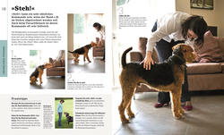 Innenansicht 6 zum Buch Hundeerziehung ganz einfach