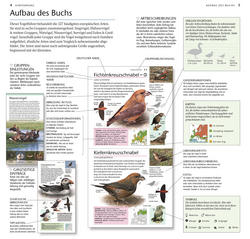 Innenansicht 2 zum Buch Vögel