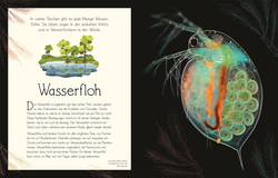 Innenansicht 3 zum Buch Wundervolle Welt. Wasser