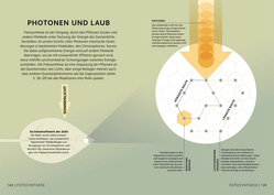 Innenansicht 8 zum Buch SIMPLY. Quantenphysik