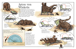 Innenansicht 5 zum Buch Das Mammut-Buch Mathematik