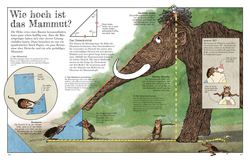 Innenansicht 7 zum Buch Das Mammut-Buch Mathematik