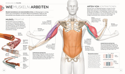 Innenansicht 3 zum Buch Pilates - Die Anatomie verstehen