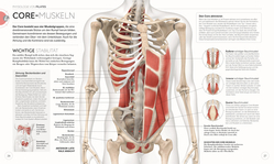 Innenansicht 4 zum Buch Pilates - Die Anatomie verstehen