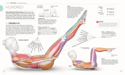 Innenansicht 5 zum Buch Pilates - Die Anatomie verstehen