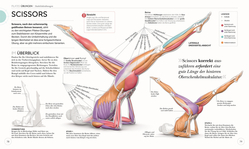 Innenansicht 6 zum Buch Pilates - Die Anatomie verstehen
