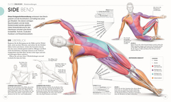 Innenansicht 7 zum Buch Pilates - Die Anatomie verstehen