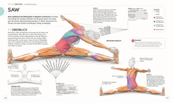 Innenansicht 8 zum Buch Pilates - Die Anatomie verstehen
