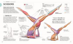 Innenansicht 6 zum Buch Pilates - Die Anatomie verstehen