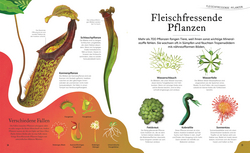 Innenansicht 2 zum Buch Große und kleine Schätze der Natur. Pflanzen