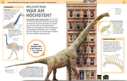 Innenansicht 2 zum Buch Total verrückt! Dinosaurier