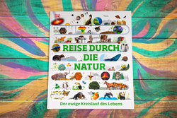 Innenansicht 10 zum Buch Reise durch die Wissenschaft