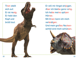 Innenansicht 3 zum Buch SUPERLESER! Dino in Gefahr