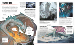 Innenansicht 5 zum Buch Dungeons & Dragons Die Legende von Drizzt Die illustrierte Enzyklopädie