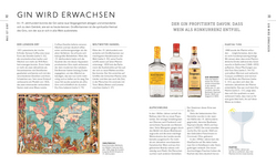 Innenansicht 4 zum Buch Workshop Gin