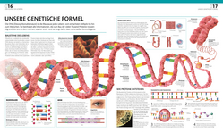 Innenansicht 3 zum Buch Anatomie und Physiologie