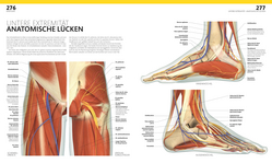 Innenansicht 4 zum Buch Anatomie und Physiologie