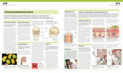 Innenansicht 8 zum Buch Anatomie und Physiologie