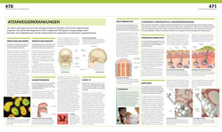 Innenansicht 8 zum Buch Anatomie und Physiologie