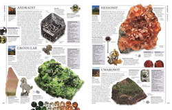 Innenansicht 7 zum Buch Steine & Mineralien
