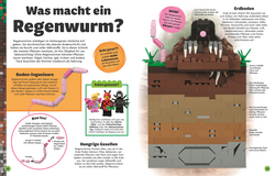Innenansicht 2 zum Buch LEGO® Entdecke die Erde