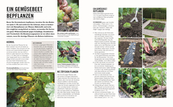 Innenansicht 3 zum Buch Grünes Gartenwissen. Gärtnern mit wenig Aufwand