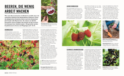 Innenansicht 5 zum Buch Grünes Gartenwissen. Gärtnern mit wenig Aufwand