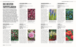Innenansicht 6 zum Buch Grünes Gartenwissen. Gärtnern mit wenig Aufwand