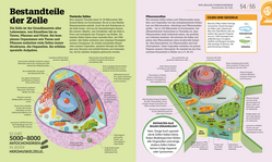 Innenansicht 4 zum Buch #dkinfografik. Biologie einfach erklärt