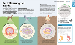 Innenansicht 5 zum Buch #dkinfografik. Biologie einfach erklärt