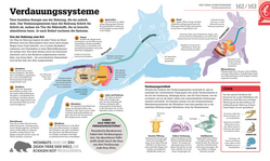 Innenansicht 7 zum Buch #dkinfografik. Biologie einfach erklärt