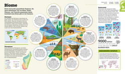 Innenansicht 8 zum Buch #dkinfografik. Biologie einfach erklärt