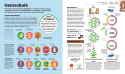 Innenansicht 9 zum Buch #dkinfografik. Biologie einfach erklärt