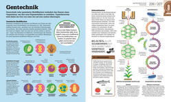 Innenansicht 9 zum Buch #dkinfografik. Biologie einfach erklärt