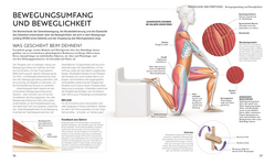 Innenansicht 3 zum Buch Stretching - Die Anatomie verstehen