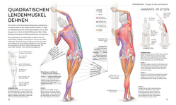 Innenansicht 4 zum Buch Stretching - Die Anatomie verstehen