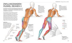 Innenansicht 7 zum Buch Stretching - Die Anatomie verstehen