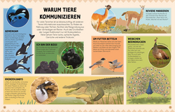 Innenansicht 2 zum Buch Die Sprache der Tiere