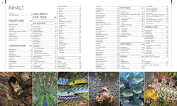 Innenansicht 1 zum Buch DK Bibliothek. Tiere