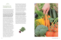 Innenansicht 3 zum Buch Das Gemüsekisten-Kochbuch