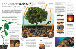 Innenansicht 4 zum Buch memo Wissen. Klimawandel