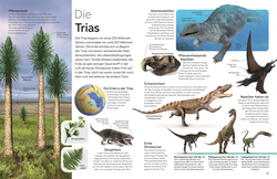 Innenansicht 4 zum Buch memo Wissen. Dinosaurier