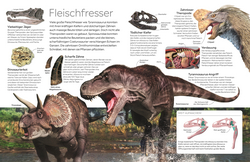 Innenansicht 6 zum Buch memo Wissen. Dinosaurier