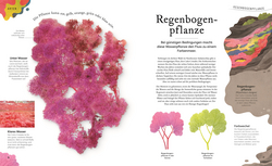 Innenansicht 2 zum Buch Kuriose Schätze der Natur
