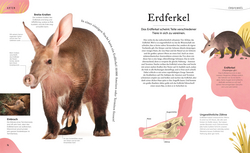 Innenansicht 4 zum Buch Kuriose Schätze der Natur