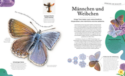 Innenansicht 7 zum Buch Kuriose Schätze der Natur