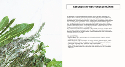 Innenansicht 1 zum Buch Infused Water, Eistee & Co.