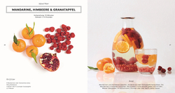 Innenansicht 4 zum Buch Infused Water, Eistee & Co.
